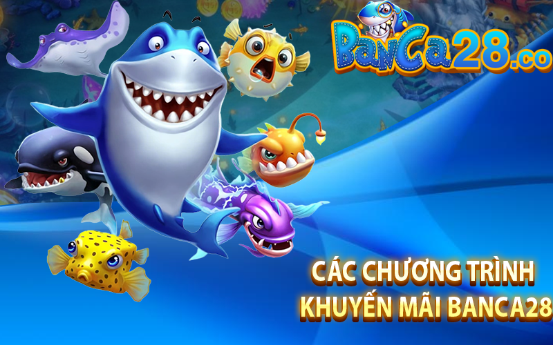 Các chương trình khuyến mãi banca28