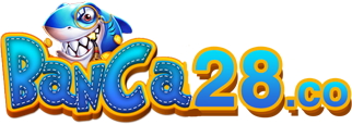 BANCA28