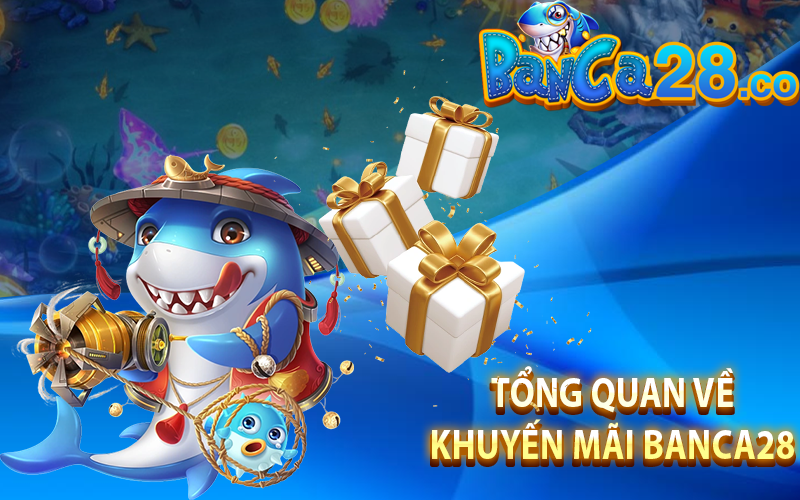 Tổng quan về khuyến mãi Banca28